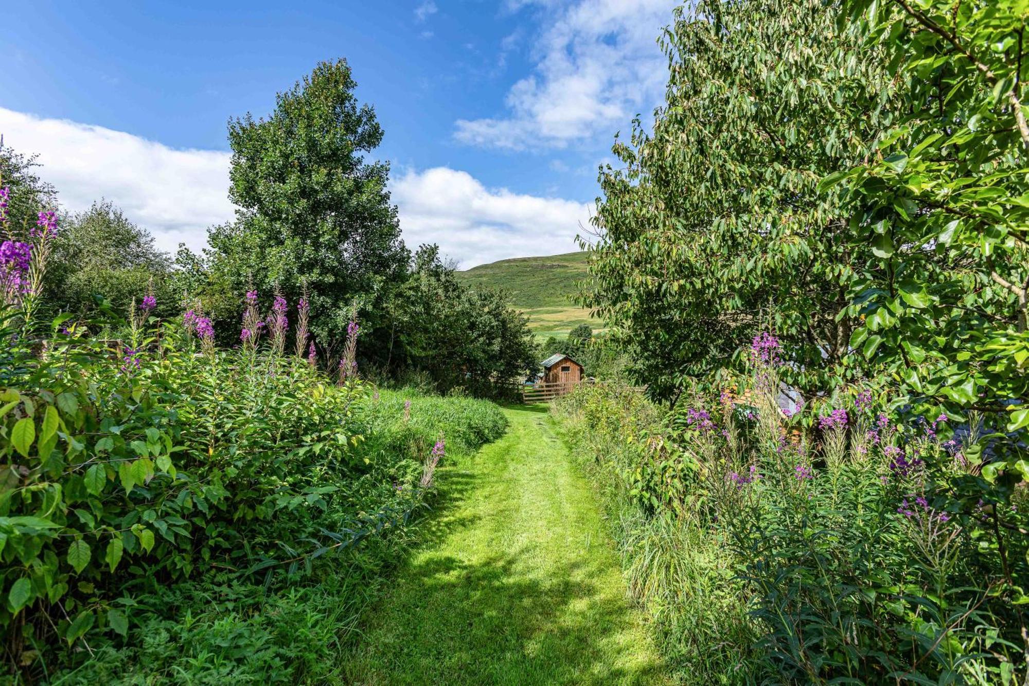The Barn At Dormouse Cottage Selkirk Exteriör bild